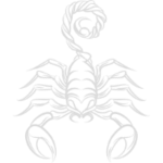Scorpio Zodiac sign on White Background
