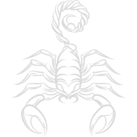 Scorpio Zodiac sign on White Background